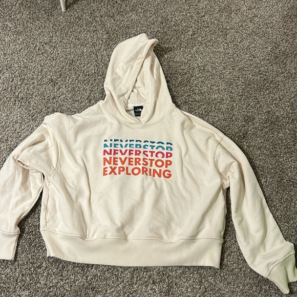 The north face cropped hoodie, size large - Picture 1 of 1